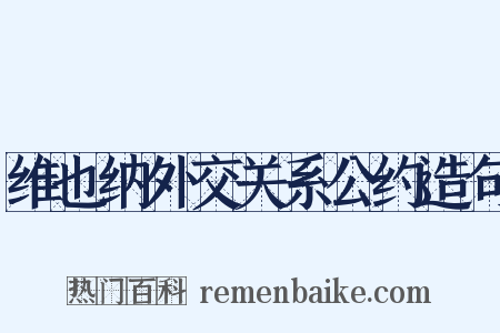 维也纳外交关系公约造句是什么意思的图片